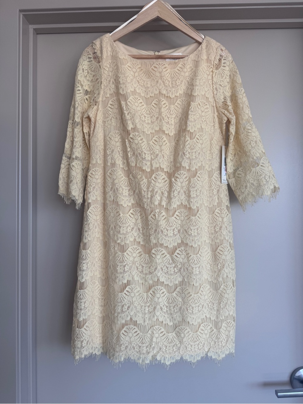 Eliza J Cream/Yellow Lace Knee-Length Dress with Three-Quarter Sleeves